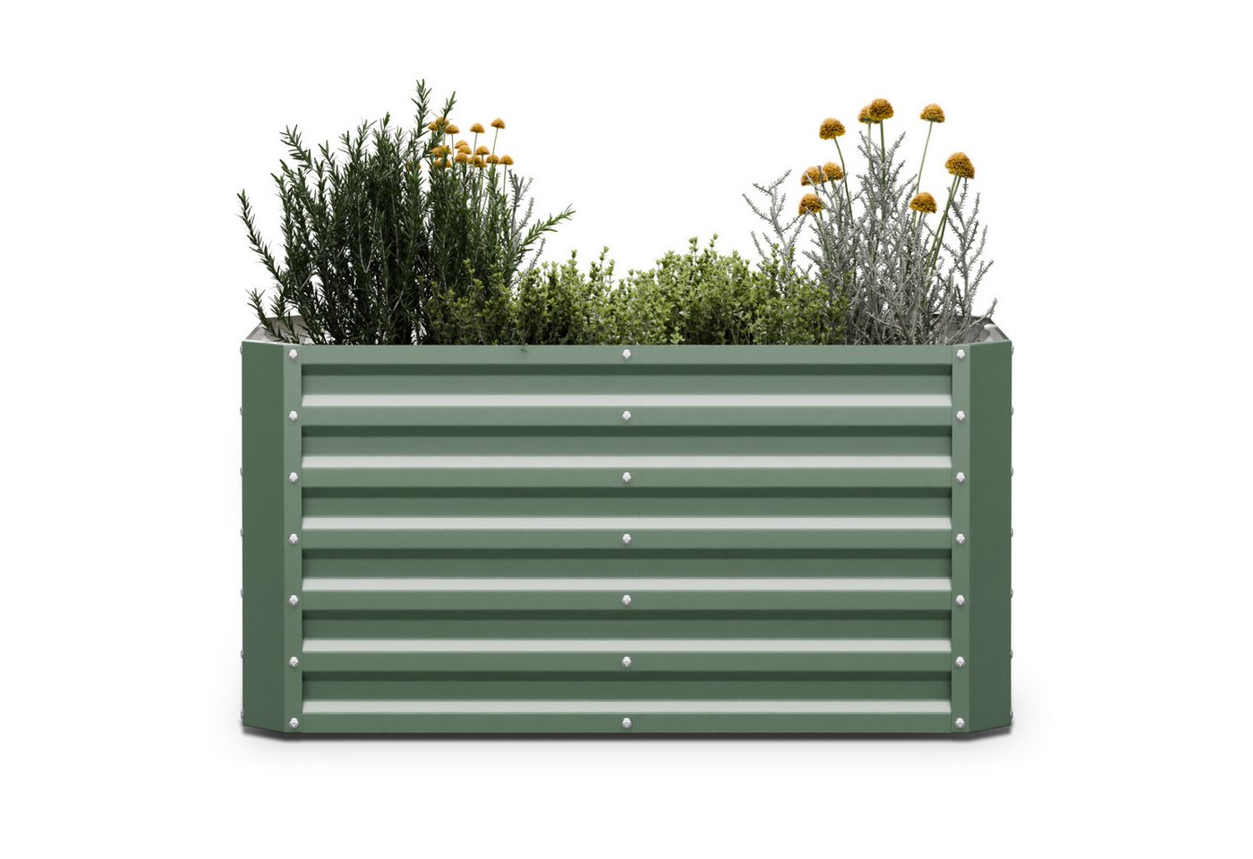 blumfeldt Hochbeet High Grow Straight Hochbeet 120x60x60cm, Pflanzkübel Outdoor Balkon außen groß Metall Garten von blumfeldt