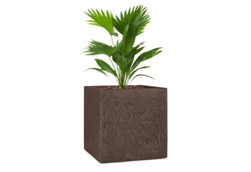 blumfeldt Hochbeet Solid Grow Rust blumfeldt Hochbeet Solid Grow Rust von blumfeldt