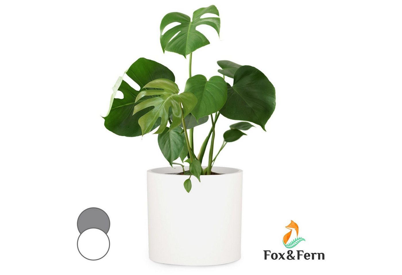 Fox & Fern Hochbeet Venlo Blumentopf von Fox & Fern