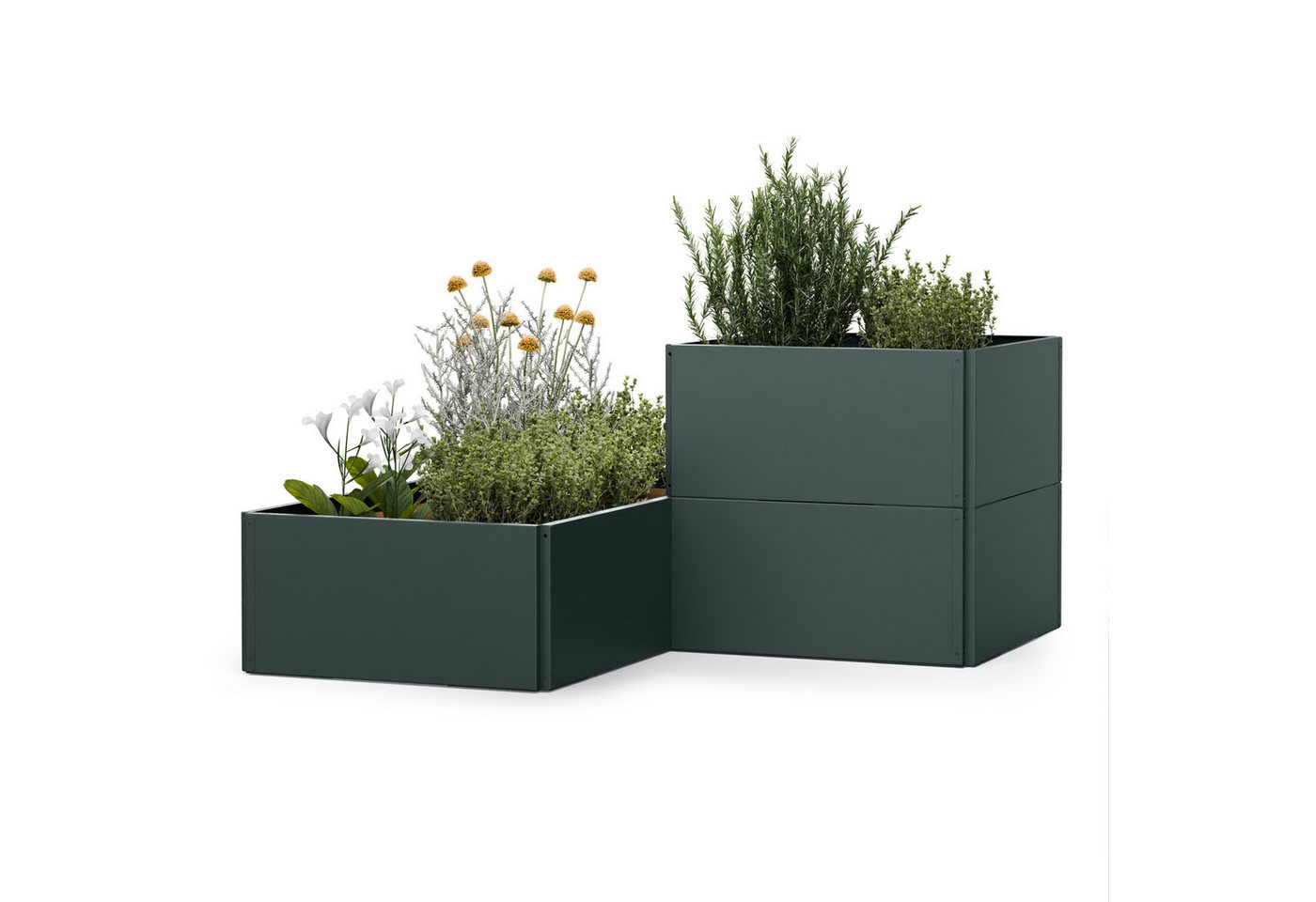 blumfeldt Hochbeet Versagrow Hochbeet Metall mit 12 Modulen, Pflanzkübel Outdoor Balkon außen groß Metall Garten blumfeldt Hochbeet Versagrow Hochbeet Metall mit 12 Modulen, Pflanzkübel Outdoor Balkon außen groß Metall Garten von blumfeldt