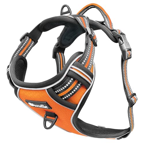 bluzelle Hundegeschirr für kleine Hunde, Reflektierendes Brustgeschirr mit Griff & Tasche für GPS Tracker, Anti-Zug Hundeweste Hund-Warnweste, Atmungsaktiv Reflektor-Gurte, S, Orange bluzelle Hundegeschirr für kleine Hunde, Reflektierendes Brustgeschirr mit Griff & Tasche für GPS Tracker, Anti-Zug Hundeweste Hund-Warnweste, Atmungsaktiv Reflektor-Gurte, S, Orange von bluzelle