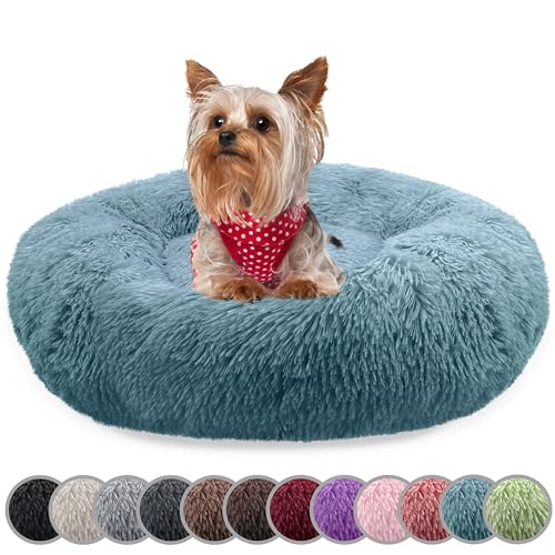 bluzelle Hundebett für kleine Hunde & Katzen, 50cm Hundekissen Rund Donut Kissen Hundekorb Plüsch, Katzenbett Flauschig Katzenkissen Waschbar rutschfest Weich, Farbe:Blau bluzelle Hundebett für kleine Hunde & Katzen, 50cm Hundekissen Rund Donut Kissen Hundekorb Plüsch, Katzenbett Flauschig Katzenkissen Waschbar rutschfest Weich, Farbe:Blau von bluzelle