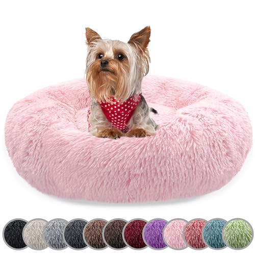 bluzelle Hundebett für kleine Hunde & Katzen, 50cm Hundekissen Rund Donut Kissen Hundekorb Plüsch, Katzenbett Flauschig Katzenkissen Waschbar rutschfest Weich, Farbe:Hell-Rosa bluzelle Hundebett für kleine Hunde & Katzen, 50cm Hundekissen Rund Donut Kissen Hundekorb Plüsch, Katzenbett Flauschig Katzenkissen Waschbar rutschfest Weich, Farbe:Hell-Rosa von bluzelle