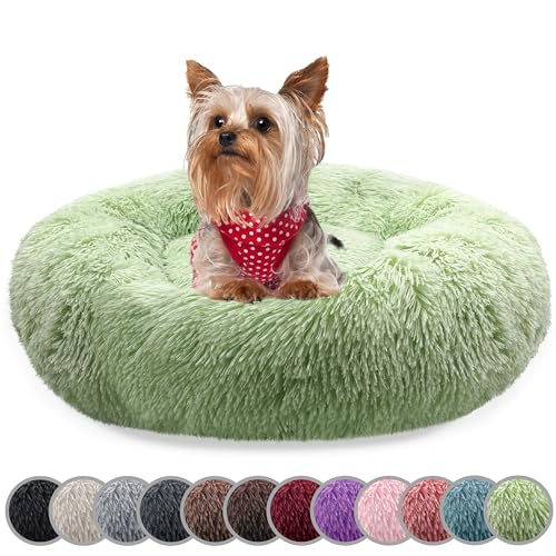 bluzelle Hundebett für kleine Hunde & Katzen, 50cm Hundekissen Rund Donut Kissen Hundekorb Plüsch, Katzenbett Flauschig Katzenkissen Waschbar rutschfest Weich, Farbe:Mint-Grün von bluzelle