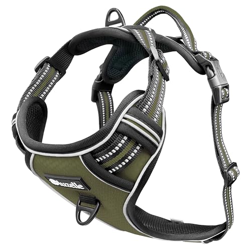 bluzelle Hundegeschirr für kleine Hunde, Reflektierendes Brustgeschirr mit Griff & Tasche für GPS Tracker, Anti-Zug Hundeweste Hund-Warnweste, Atmungsaktiv Reflektor-Gurte, XS, Oliv Grün bluzelle Hundegeschirr für kleine Hunde, Reflektierendes Brustgeschirr mit Griff & Tasche für GPS Tracker, Anti-Zug Hundeweste Hund-Warnweste, Atmungsaktiv Reflektor-Gurte, XS, Oliv Grün von bluzelle