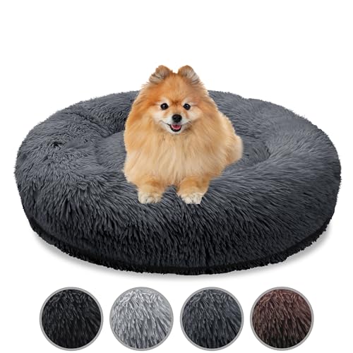 bluzelle Orthopädisches Hundebett für Kleine Hunde & Katzen, 60cm Donut Kissen Waschbar Rund Memory Foam Hundekorb Katzenbett Flauschig Hundekissen Katzenkissen, Farbe:Dunkel-Grau von bluzelle