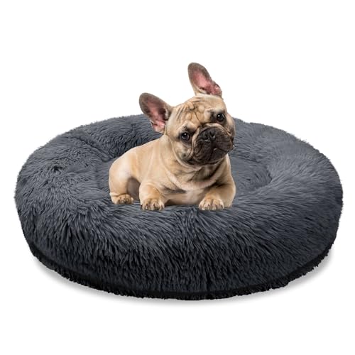 bluzelle Orthopädisches Hundebett für Mittelgroße Hunde, 70cm Donut Kissen Waschbar Memory Foam Rund, Hundekorb Hundekissen Flauschig Plüsch Kunstfell Weich, Farbe:Dunkel-Grau von bluzelle