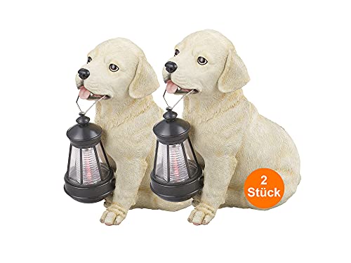 Solarlampen für Außen Deko Figuren mit LED 2er Set - Gartendeko Solar Laterne - Solarleuchten Garten Hund - Außenlampe Stehend Weiß Beige - Höhe 25 cm von bmf-versand