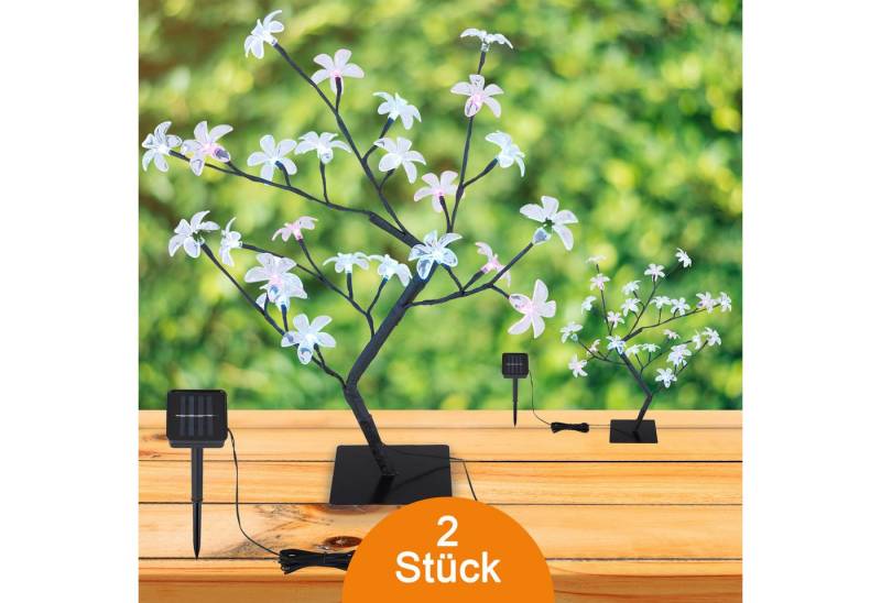 bmf-versand LED Solarleuchte Solarleuchte Garten 2er Set Baum Bunt Solarlampe Außen Außenleuchte, Tischleuchte, LED fest integriert, Blau, Lila, Gartendeko von bmf-versand
