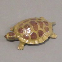 3 D Schildkröte 3 D Schildkröte von bmwpottery