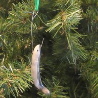 Sardine Ornament Sardine Ornament von bmwpottery