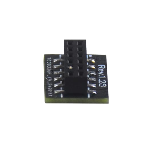 bnsggl TPM 2.0 Verschlüsselung Sicherheitsmodul Remote Card 12Pin SPI TPM 2.0 Für Motherboards von bnsggl