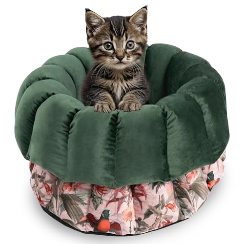bo&flash Design Katzenbett Elodie – Kuscheliges Katzenbett 45x23 cm – Katzenkörbchen für einen gemütlichen Katzen Schlafplatz – waschbarer Katzenkorb – Flauschiges Katzen Zubehör bo&flash Design Katzenbett Elodie – Kuscheliges Katzenbett 45x23 cm – Katzenkörbchen für einen gemütlichen Katzen Schlafplatz – waschbarer Katzenkorb – Flauschiges Katzen Zubehör von bo&flash