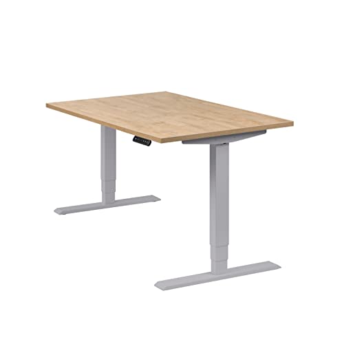 boho office® höhenverstellbarer Schreibtisch 120 x 80 cm - Elektrisch stufenlos, 2 Motoren, 3-Fach Teleskop, Memoryfunktion, Kollisionsschutz - Homedesk Silber inkl. Tischplatte in Wildeiche von boho office