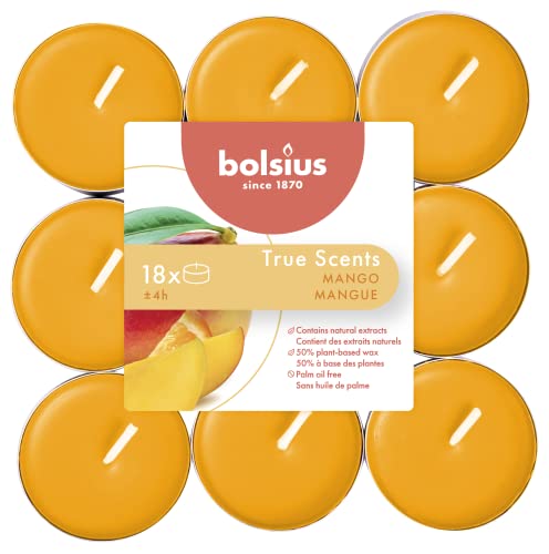 Bolsius, Teelicht Duft, 4 Stunden, Orange, Duft Mango, True Scents von bolsius