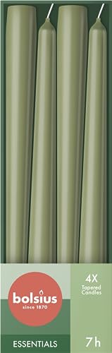 Bolsius Glatte Spitzkerzen - Grün - 4 Stück im Karton - Dekorative Haushaltkerzen - Brenndauer 7 Stunden - Unparfümierte - Enthält Natürliches Pflanzenwachs - Ohne Palmöl - 24,5 cm von bolsius