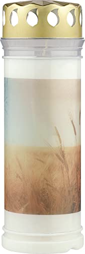 Bolsius Grablicht - Weiß - 6 Stück - 7.5 x 20 cm - Länge Brenndauer - Trauerkerze & Gedenkstätte Kerzen - Dauerbrenner - mit Motiv - Felder - Unparfümierte - Ohne Palmöl - Nr7 von bolsius