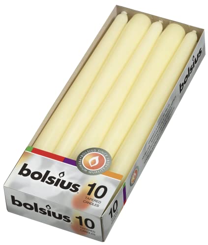 Ivyline Bolsius 103600352205 Wachskerze, Box mit 10 Stück, 245 x 24 mm, elfenbein von bolsius