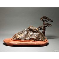 China Naturstein Bergsteine Bonsai Suiseki Alashan Wüste Gobi Fengling Stein 凌 von bonsaichina