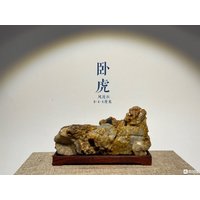 China Naturstein Bergsteine Bonsai Suiseki Alashan Wüste Gobi Fengling Stein凌 von bonsaichina