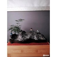 China Naturstein Bergsteine Bonsai Suiseki Lingbi Stein 灵璧石 091601 von bonsaichina