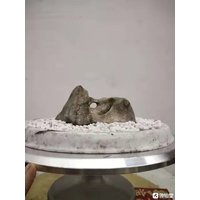 China Naturstein Bergsteine Bonsai Suiseki Taihu 110402湖石 Stein von bonsaichina