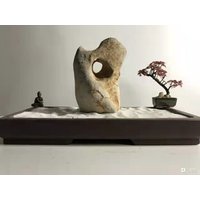 China Naturstein Bergsteine Bonsai Suiseki Taihu Stein 太湖石 Rohstein 110901 von bonsaichina