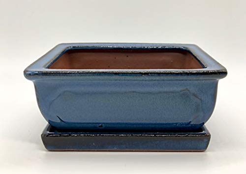 Bonsai Schale mit Untersetzer Blau aus Keramik Glasiert Rechteckig L: 16 cm x B: 13 cm x H: 6,5 cm - Bonsaischale - Bonsai Pot - Indoor/Outdoor von bonsoo