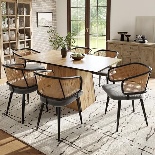 boorbin Esszimmerstühle, Esszimmerstühle mit Rattan-Rückenlehne, Sitzkissen aus Samt-Kissen, bequem und atmungsaktiv, moderner und einfacher Stil, geeignet für Restaurants, Wohnzimmer und Cafés (6) boorbin Esszimmerstühle, Esszimmerstühle mit Rattan-Rückenlehne, Sitzkissen aus Samt-Kissen, bequem und atmungsaktiv, moderner und einfacher Stil, geeignet für Restaurants, Wohnzimmer und Cafés (6) von boorbin