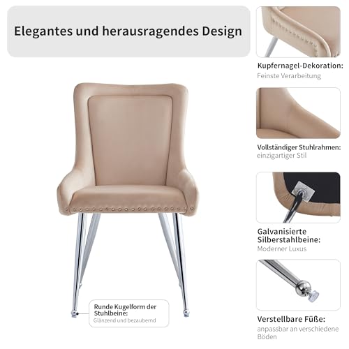 boorbin Hochwertiger Esszimmerstuhl aus Samtstoff, Schminkstuhl, verzinkte Silberne Eisenbeine, einzigartiges Design, Leichter Luxusstuhl, verstellbare (2) von boorbin