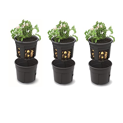 3X Kartoffel Plantztopf Blumentopf Set 3 STK Pflanzkübel für Kartoffeln Kartoffel-Anzuchttopf 12 L, Höhe 24,5 cm, Potato Topf Korb von botle