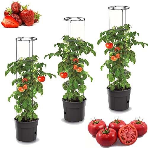 botle 3X Tomatenpflanze Blumentopf für Tomaten Set 3 STK Pflanzkübel 12 L, Tomatenzüchter, Tomatentopf, Übertopf, Gemüsen, Tomaten Waschen von botle