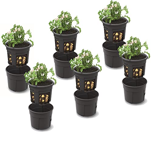 6X Kartoffel Plantztopf Blumentopf Set 6 STK Pflanzkübel für Kartoffeln Kartoffel-Anzuchttopf 28 L, Höhe 32 cm, Potato Topf Korb von botle