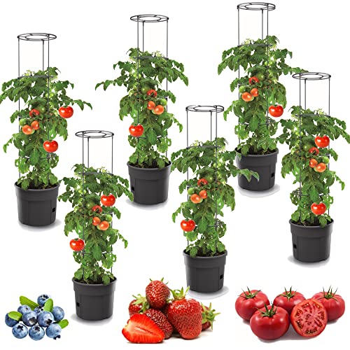 botle 6X Tomatenpflanze Blumentopf für Tomaten Set 6 STK Pflanzkübel 28 L, Tomatenzüchter, Tomatentopf, Übertopf, Gemüsen, Tomaten Waschen von botle