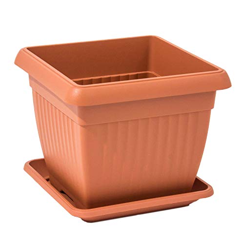 Blumenkübel Blumentopf mit Untersetzer quadratisch Terrakotta-Struktur (Braun, 30 cm x 30 cm x 25 cm) von botle