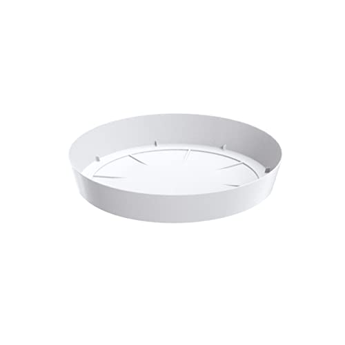 botle Blumentopf Untersetzer 38 cm Farbe weiß Kunststoff Blumenuntersetzer Blumentopfuntersetzer Blumentöpfen botle Blumentopf Untersetzer 38 cm Farbe weiß Kunststoff Blumenuntersetzer Blumentopfuntersetzer Blumentöpfen von botle