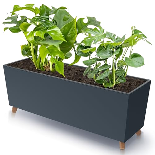 botle Blumenkasten mit Füßen Anthrazit 77x30 cm Glatt Struktur mit Pflanzeinsatz Kunststoff große Größe mit 2 Stabilisatoren UV beständig Balkonkasten Innen/Außenbereiche botle Blumenkasten mit Füßen Anthrazit 77x30 cm Glatt Struktur mit Pflanzeinsatz Kunststoff große Größe mit 2 Stabilisatoren UV beständig Balkonkasten Innen/Außenbereiche von botle