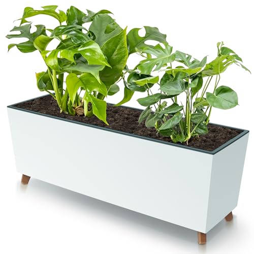 botle Blumenkasten mit Füßen Weiß 77x30 cm Glatt Struktur mit Pflanzeinsatz Kunststoff große Größe mit 2 Stabilisatoren UV beständig Balkonkasten Innen/Außenbereiche von botle