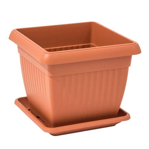 Blumenkübel Blumentopf mit Untersetzer quadratisch Terrakotta-Struktur (Braun, 15 cm x 15 cm x 13 cm) von botle