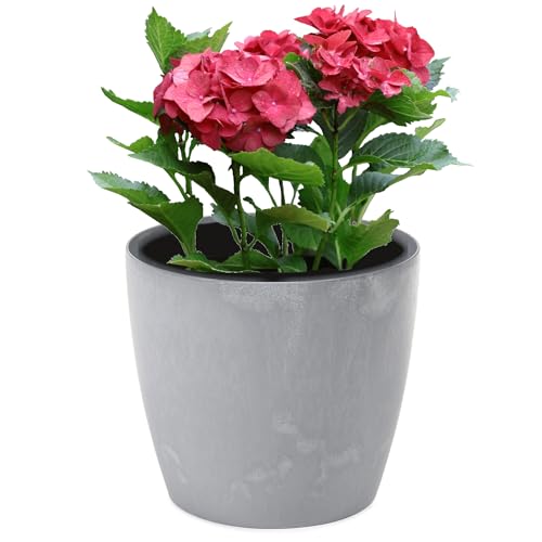 botle Blumentopf Blumenübertopf Beton Optik Grau Runde 15,5cm H 13,7cm Oberfläche Matt Kunststoff Modern Glamour von botle