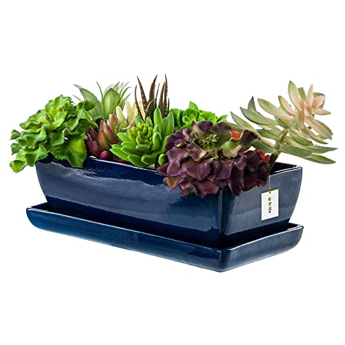 botle Blumentopf Blumenübertopf Dunkelblau Kaktenschale mit Untersetzer Rechteck LxBxH 15 cm x 29 cm x 9 cm Oberfläche Glanz Kakten Keramik Modern Glamour von botle