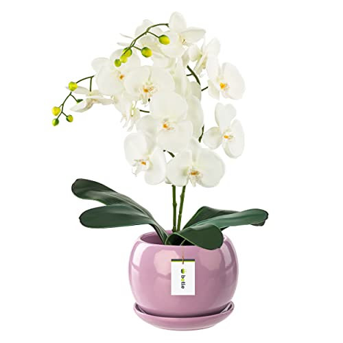botle Blumentopf Blumenübertopf Rosa Kugel Blumenschale mit Untersetzer Rund BxH 170 mm x 160 mm Oberfläche Glanz Keramik Modern Glamour von botle