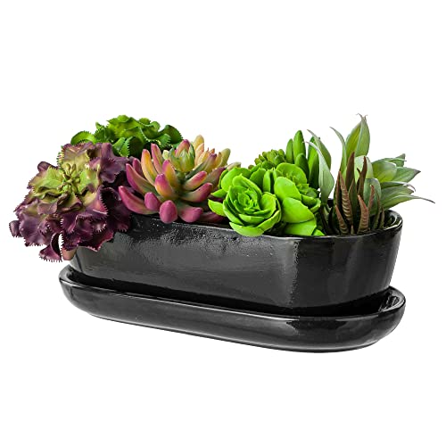 botle Blumentopf Blumenübertopf Schwarz Kaktenschale mit Untersetzer Oval LxBxH 13 cm x 27,5 cm x 8 cm Oberfläche Glanz Kakten Keramik Modern Glamour von botle