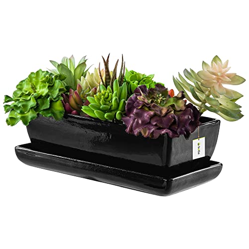 botle Blumentopf Blumenübertopf Schwarz Kaktenschale mit Untersetzer Rechteck LxBxH 15 cm x 29 cm x 9 cm Oberfläche Glanz Kakten Keramik Modern Glamour von botle