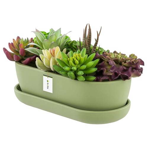 botle Blumentopf Keramik Hell grün Kaktenschale mit Untersetzer Oval LxBxH 13 cm x 27,5 cm x 8 cm Oberfläche Matt Kakten Modern Glamour von botle
