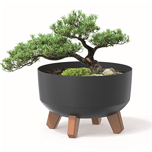 botle Blumentopf an den Füßen Pflanzkübel D 38 cm Anthrazit Kunststoff Töpfe mit Einsatz matt Übertöpfe von botle