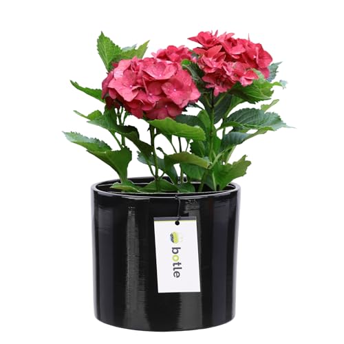 botle Blumentopf aus Keramik Blumenübertopf Gehäuse Farbe Schwarz Rund Ø 13,5cm H 12,5cm Glanz Oberfläche Modern Glamour botle Blumentopf aus Keramik Blumenübertopf Gehäuse Farbe Schwarz Rund Ø 13,5cm H 12,5cm Glanz Oberfläche Modern Glamour von botle