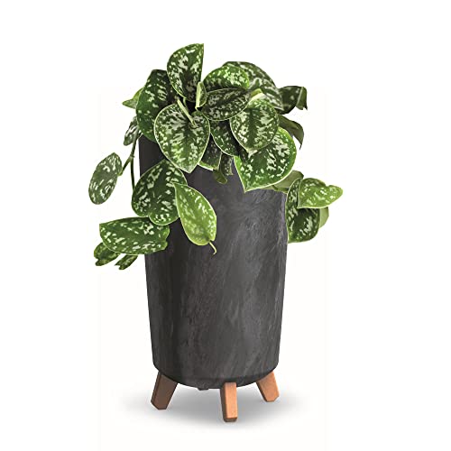 botle Blumentopf mit Füßen HOH Pflanzkübe D 20 cm Anthrazit Kunststoff Töpfe Beton Optik Übertöpfe von botle