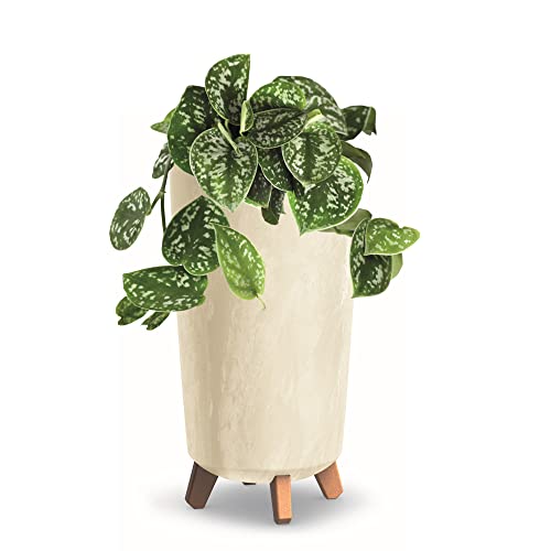 Blumentopf mit Füßen HOH Pflanzkübe D 20 cm Cremig Kunststoff Töpfe Beton Optik Übertöpfe von botle