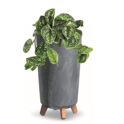 Blumentopf mit Füßen HOH Pflanzkübe D 24 cm Dunkel Grau Kunststoff Töpfe Beton Optik Übertöpfe von botle